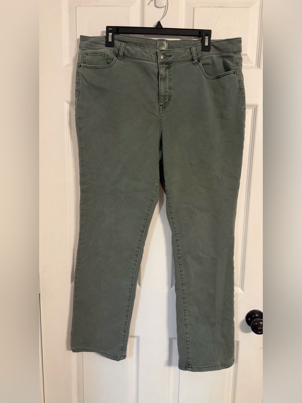 Dress barn Women’s Size 16 Green Jean Pants